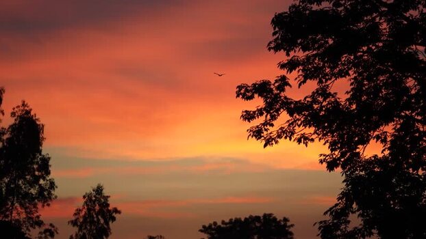 View of a vibrant sunset sky over trees Bangladesh. View of a vibrant sunset sky over trees Bangladesh.