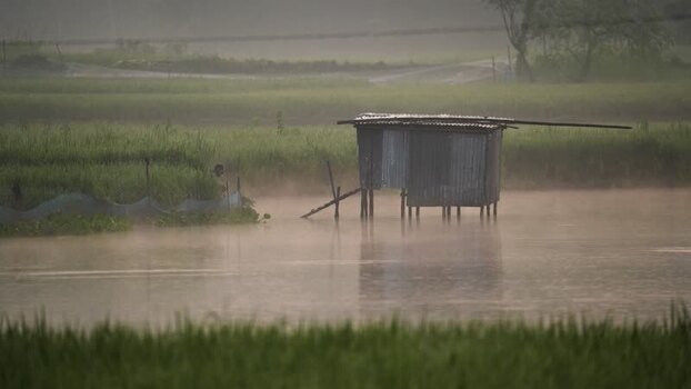 View of a small hut on stilts in a misty flooded field Bangladesh.