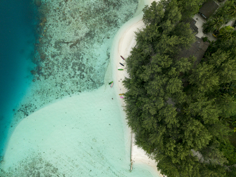Aerial view of the serene Menjangan Kecil Island reveals a vibrant contrast between the deep blue sea and the light turquoise shallows Karimunjawa Central Java Indonesia.