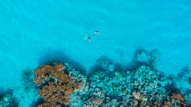 Aerial view of snorkelers swimming over a vibrant coral reef in the crystal clear turquoise waters of the Los Roques archipelago in Los Roques Dependencias Federales Venezuela. Aerial view of snorkelers swimming over a vibrant coral reef in the crystal clear turquoise waters of the Los Roques archipelago in Los Roques Dependencias Federales Venezuela.