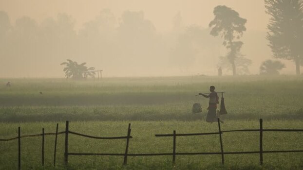 View of a farmer walking through a misty field at dawn Bangladesh.