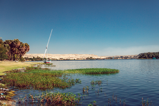 View of a traditional felucca boat moored on the Nile river bank with palm trees and desert hills under a clear blue sky in Aswan Aswan Governorate Egypt. View of a traditional felucca boat moored on the Nile river bank with palm trees and desert hills under a clear blue sky in Aswan Aswan Governorate Egypt.