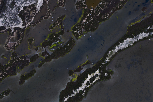 Aerial view of intricate waterways carve through the landscape creating a tapestry of dark water bright green vegetation and white sandy patches San Pedro del Pinatar Region of Murcia Spain. Aerial view of intricate waterways carve through the landscape creating a tapestry of dark water bright green vegetation and white sandy patches San Pedro del Pinatar Region of Murcia Spain.