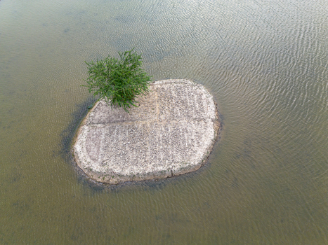 Aerial view of a small paved island with a single green tree surrounded by rippling water in Gabura Union Khulna Division Bangladesh. Aerial view of a small paved island with a single green tree surrounded by rippling water in Gabura Union Khulna Division Bangladesh.