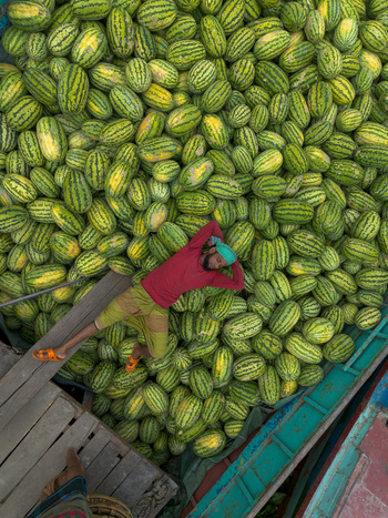 Dhaka Bangladesh 04 April 2026 Aerial view of a person resting amidst a sea of vibrant green and yellow striped cucumbers a tranquil moment of repose above the bustling city. Dhaka Bangladesh 04 April 2026 Aerial view of a person resting amidst a sea of vibrant green and yellow striped cucumbers a tranquil moment of repose above the bustling city.