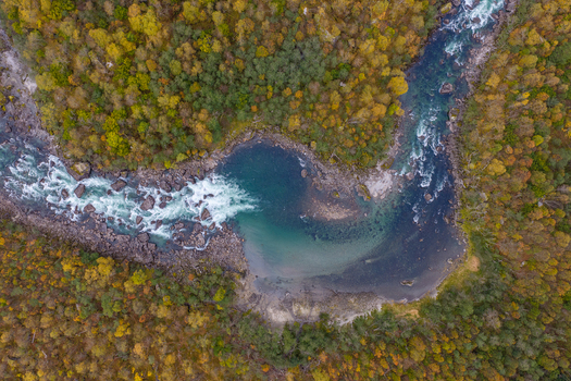 Aerial view of a winding river with rapids and rocky banks surrounded by a dense forest with autumn foliage in Andalsnes More og Romsdal Norway.