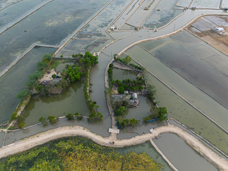 Aerial view of rural homesteads on small islands surrounded by flooded fields and narrow embankments in Gabura Union Khulna Division Bangladesh. Aerial view of rural homesteads on small islands surrounded by flooded fields and narrow embankments in Gabura Union Khulna Division Bangladesh.