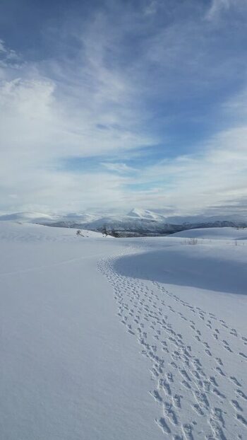 Aerial view of snowy Kvaloya mountains and footprints Norway.