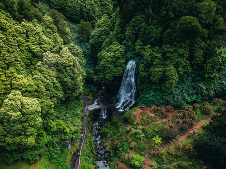 Aerial view of the cascading waterfall amidst the vibrant green canopy where the lush forest meets a meandering pathway Achada Açores Portugal. Aerial view of the cascading waterfall amidst the vibrant green canopy where the lush forest meets a meandering pathway Achada Açores Portugal.