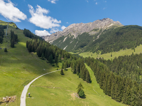 Aerial view of the lush green alpine landscape with a winding gravel path dense pine forests and rugged mountain peaks under a clear blue sky in Imst Tyrol Austria.