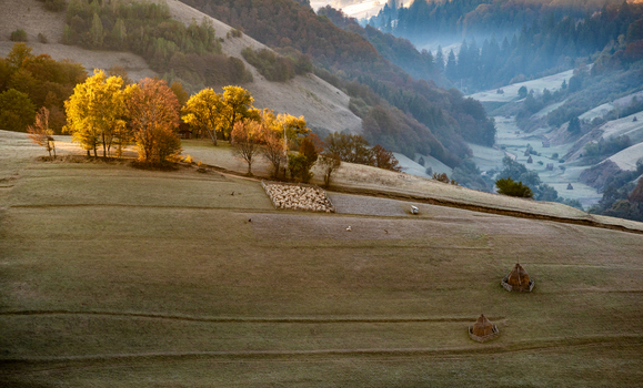View of the rural landscape with autumn trees haystacks and a flock of sheep grazing on the hillside in the morning light in Pestera Brasov Romania. View of the rural landscape with autumn trees haystacks and a flock of sheep grazing on the hillside in the morning light in Pestera Brasov Romania.