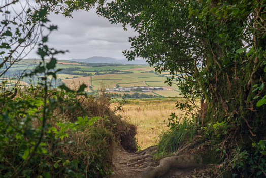 View of the rolling green hills and patchwork fields of the Cornish countryside framed by trees and foliage in Bodmin Cornwall United Kingdom. View of the rolling green hills and patchwork fields of the Cornish countryside framed by trees and foliage in Bodmin Cornwall United Kingdom.