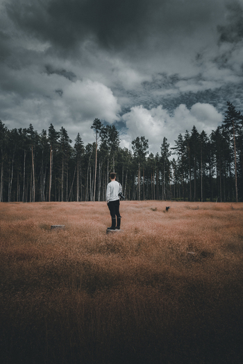 View of a person standing in a field of tall dry grass with a dense forest in the background under a dramatic cloudy sky in Vormsi Laane County Estonia. View of a person standing in a field of tall dry grass with a dense forest in the background under a dramatic cloudy sky in Vormsi Laane County Estonia.