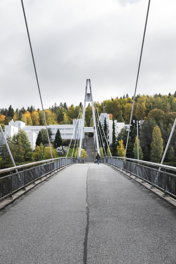 View of the Ylisto Bridge a modern cable stayed pedestrian bridge with a tall pylon leading towards a white building surrounded by autumn trees in Jyvaskyla Central Finland Finland.