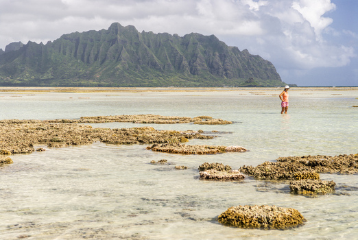 View of a woman standing in the shallow waters of Kaneohe Bay with coral reefs in the foreground and the Ko olau Range mountains in the background Honolulu County Hawaii United States. View of a woman standing in the shallow waters of Kaneohe Bay with coral reefs in the foreground and the Ko olau Range mountains in the background Honolulu County Hawaii United States.