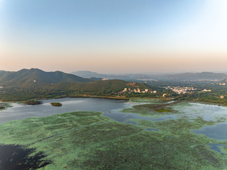 Aerial view of a serene lake covered in green vegetation surrounded by rolling hills and distant buildings under a clear sky during golden hour in Udaipur Rajasthan India.