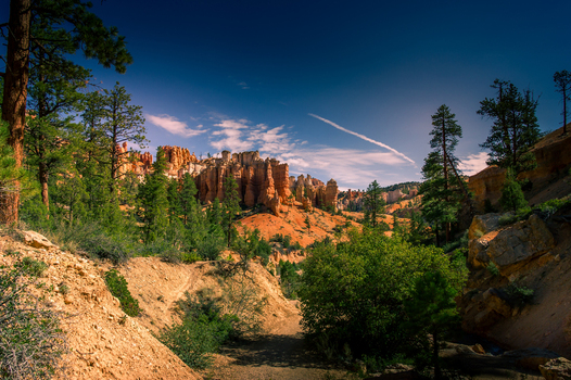 View of Bryce Canyon National Park featuring iconic red rock hoodoos lush pine trees and a dirt trail under a clear blue sky in Utah United States.