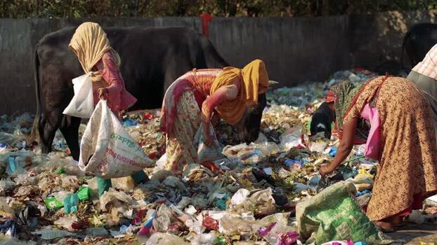 View of women scavenging plastic waste in a landfill Bangladesh. View of women scavenging plastic waste in a landfill Bangladesh.