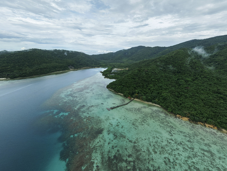 Aerial view of the shimmering turquoise water meeting the vibrant green shoreline fringed by a wooden pier Turtle Conservation Karimunjawa Central Java Indonesia.