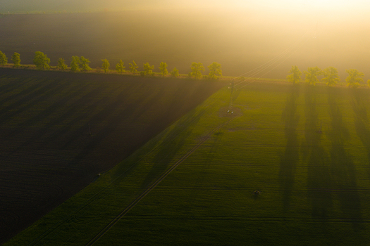 Aerial view of agricultural fields with a line of trees and a power line pylon illuminated by golden hour light in Kyjov South Moravian Region Czechia.