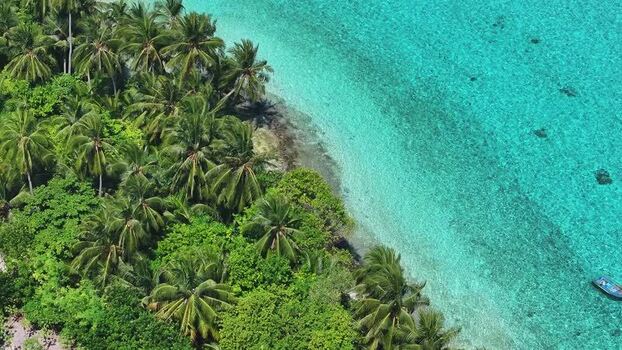 Aerial view of lush palm trees and turquoise water Maldives. Aerial view of lush palm trees and turquoise water Maldives.