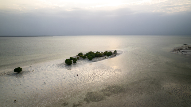 Aerial view of a small island with lush green trees surrounded by the expansive ocean under a soft diffused sunlight Paje Tanzania.