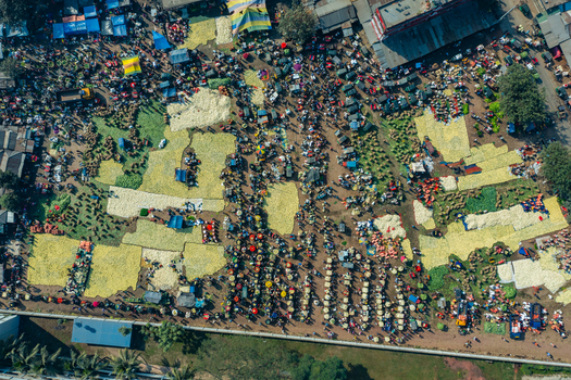 Aerial view of a bustling outdoor market with vendors and shoppers gathered around large piles of fresh produce spread across the ground in Bogura Rajshahi Division Bangladesh. Aerial view of a bustling outdoor market with vendors and shoppers gathered around large piles of fresh produce spread across the ground in Bogura Rajshahi Division Bangladesh.