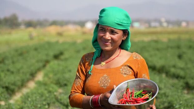 View of a woman holding chili peppers in a field Nepal.