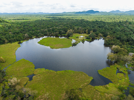 Aerial view of a large lake surrounded by dense tropical jungle and lush green vegetation under a cloudy sky in Sigiriya Central Province Sri Lanka. Aerial view of a large lake surrounded by dense tropical jungle and lush green vegetation under a cloudy sky in Sigiriya Central Province Sri Lanka.
