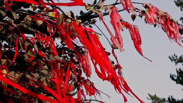 View of red ribbons on a wishing tree China.