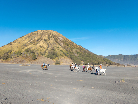 Tosari Indonesia 08 August 2026 Aerial view of Mount Bromo with tourists riding horses across the vast volcanic sand sea under a clear blue sky.
