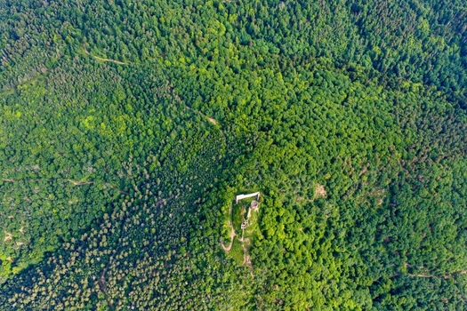 Aerial view of the historic castle ruins nestled within a dense green forest on a sunny day in Ribeauville Grand Est France. Aerial view of the historic castle ruins nestled within a dense green forest on a sunny day in Ribeauville Grand Est France.