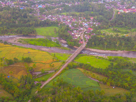 Aerial view of Taba Tembilang bridge crossing a river surrounded by lush green rice paddies tropical vegetation and a small village in Arga Makmur Bengkulu Indonesia.
