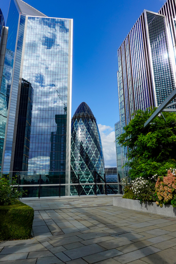 View of 30 St Mary Axe also known as The Gherkin framed by modern glass skyscrapers with a paved terrace and greenery in the foreground in London England United Kingdom.
