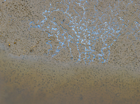 Aerial view of textured mudflats with intricate patterns of water and sediment in Latvia.