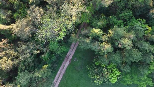 Aerial view of a dirt path through the forest in Brazil. Aerial view of a dirt path through the forest in Brazil.