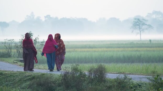 View of women walking along a rural path in Bogura Bangladesh. View of women walking along a rural path in Bogura Bangladesh.