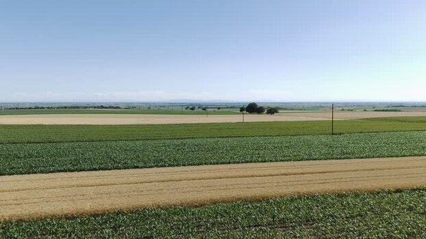 Aerial view of agricultural fields in Novi Sad Serbia. Aerial view of agricultural fields in Novi Sad Serbia.