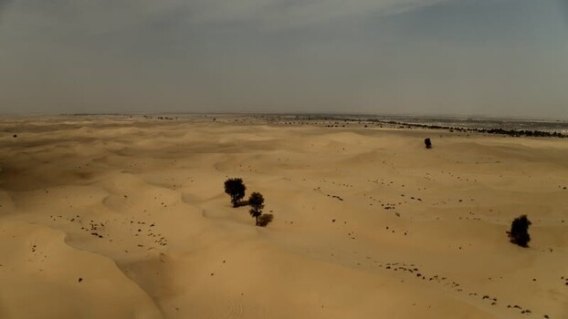 Aerial view of vast desert sand dunes with scattered green trees under a hazy sky in Dubai UAE