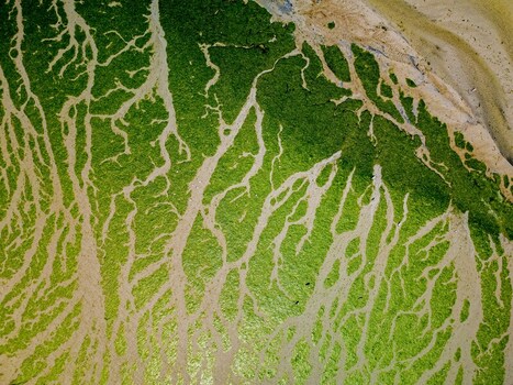 FRANCE. BRITTANY. FINISTERE 29 AERIAL VIEW OF L HORN ESTUARY PLOUGOULM AT LOW TIDE