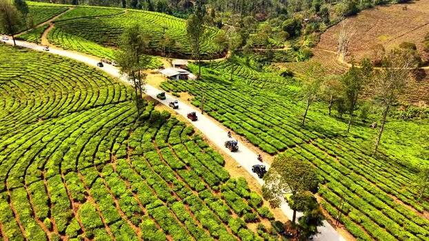 Aerial view of Kebun Teh Pangalengan tea plantation Indonesia. Aerial view of Kebun Teh Pangalengan tea plantation Indonesia.