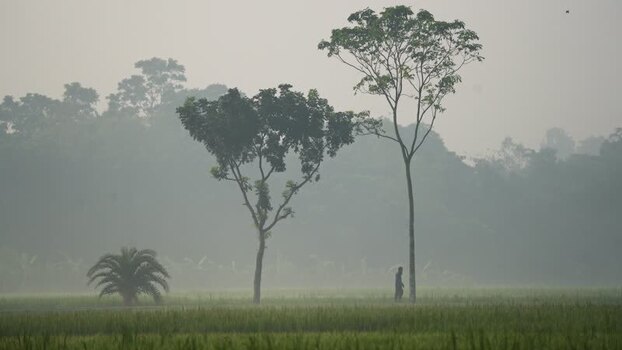 View of a person walking in a misty field in Bogura Bangladesh. View of a person walking in a misty field in Bogura Bangladesh.