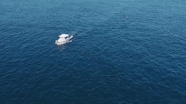 Aerial view of a white motorboat cruising through blue ocean waters Maldives.