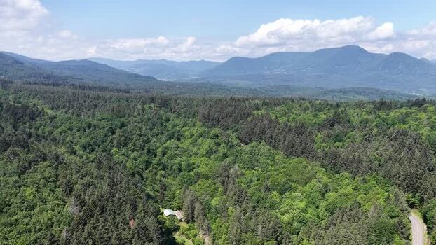 Aerial view of the lush Vosges forest near Selestat France.