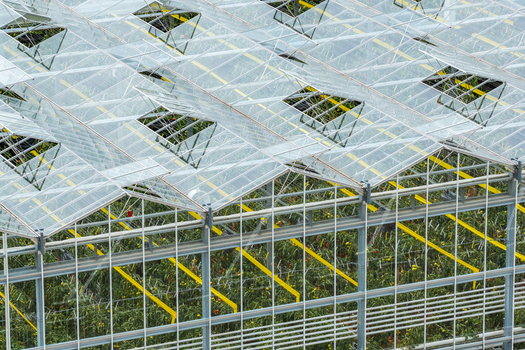 Aerial view of a large greenhouse farm with glass roofs and metal structures housing tomato plants in Poland. Aerial view of a large greenhouse farm with glass roofs and metal structures housing tomato plants in Poland.