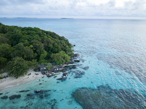 Aerial view of turquoise waters meeting the lush green coastline at Tanjung Gelam Beach a tropical haven Karimunjawa Central Java Indonesia. Aerial view of turquoise waters meeting the lush green coastline at Tanjung Gelam Beach a tropical haven Karimunjawa Central Java Indonesia.
