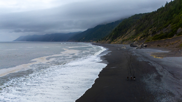 Aerial view of the rugged Lost Coast featuring a black sand beach with people walking along the shoreline under a misty sky Humboldt County California United States.
