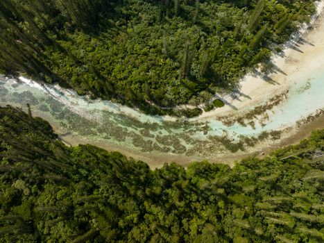 Aerial view of the Oro Natural Pool s turquoise waters winding through dense emerald forests meeting the sandy shore Oro Natural Pool L Île des Pins New Caledonia. Aerial view of the Oro Natural Pool s turquoise waters winding through dense emerald forests meeting the sandy shore Oro Natural Pool L Île des Pins New Caledonia.
