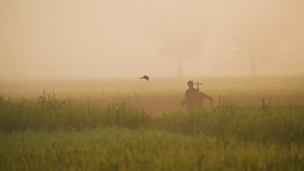 View of a person walking through a misty field at dawn Bangladesh.