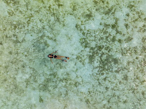 Aerial view of a person snorkeling in the clear turquoise waters of Komodo Island with coral reefs visible below in Komodo East Nusa Tenggara Indonesia.